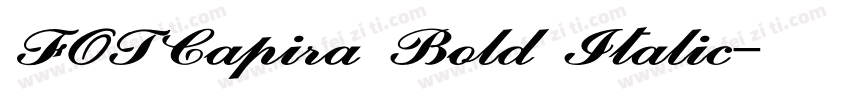 FOTCapira Bold Italic字体转换